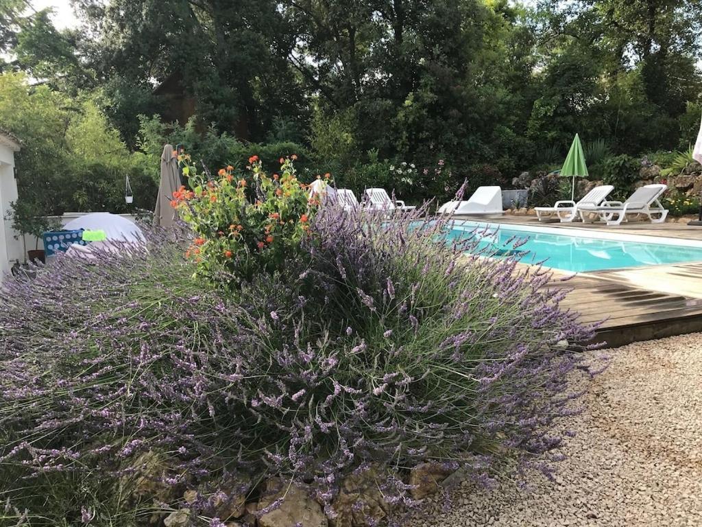 Villa Oha Close Cannes,nice, Valbonne , Opio