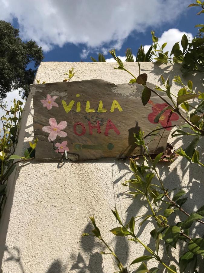 Oha Close Cannes,nice, Valbonne , Opio